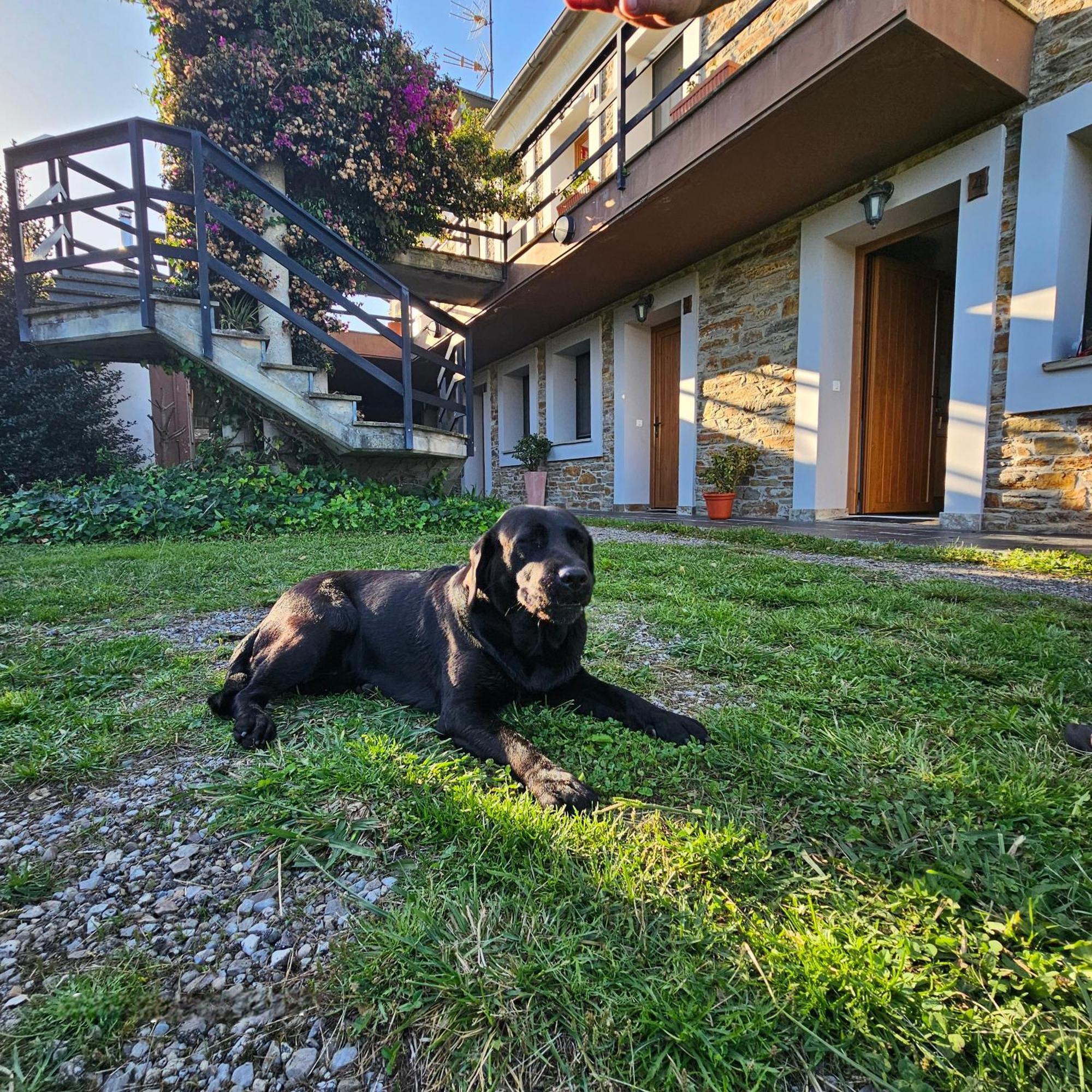 Apartamentos Castello Cartavio المظهر الخارجي الصورة