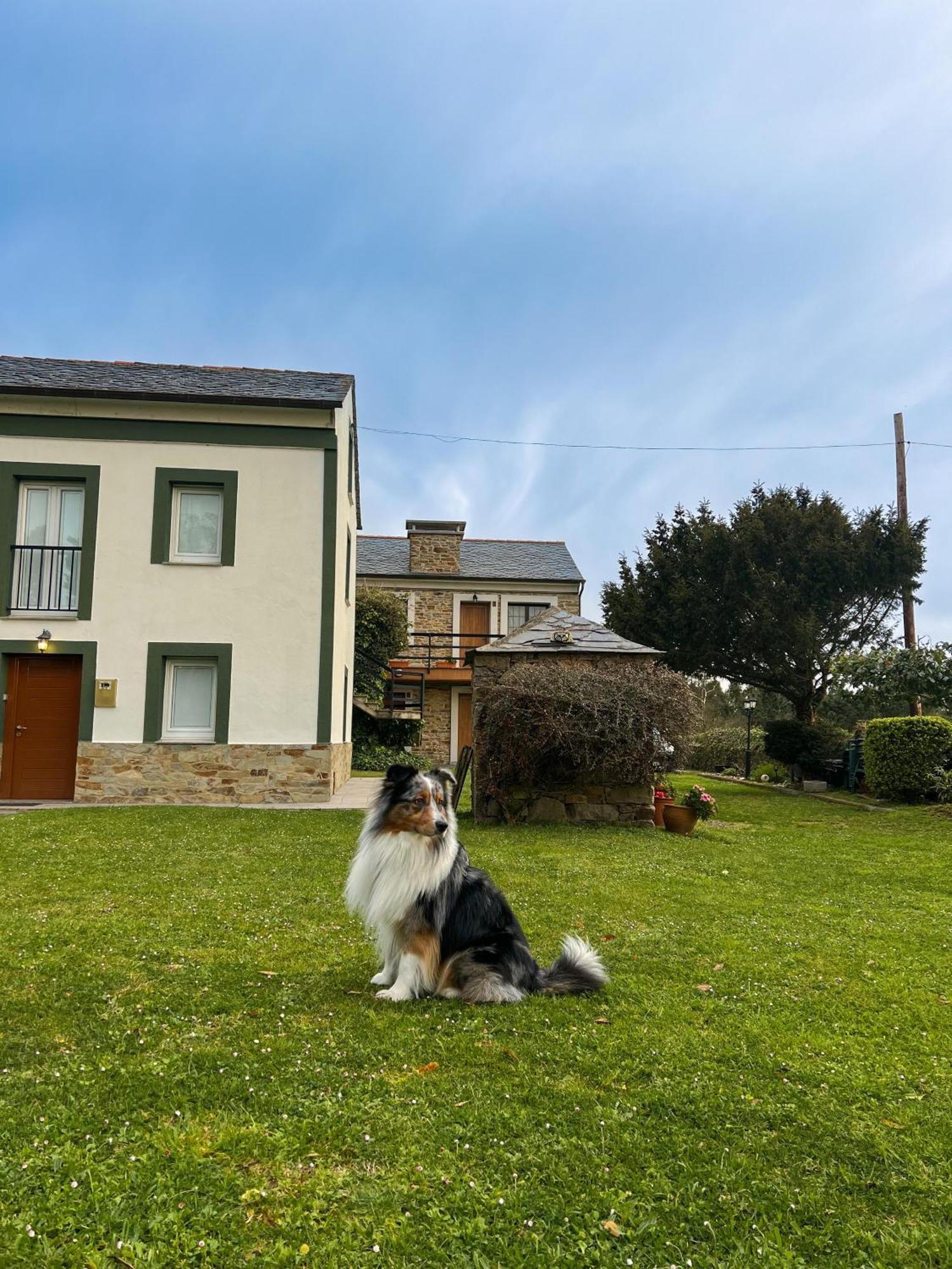 Apartamentos Castello Cartavio المظهر الخارجي الصورة